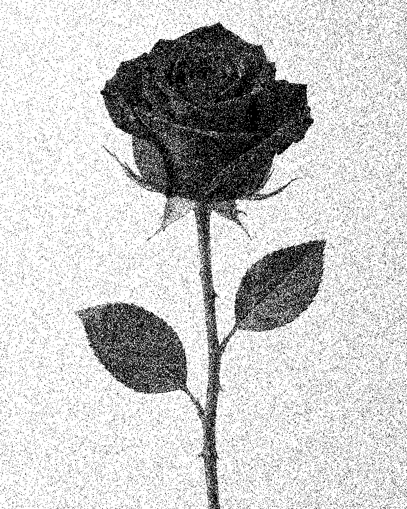 Fade Out Dots stencil of the rose made by Stencil Lab