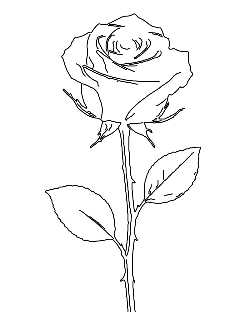Outline stencil of the rose made by Stencil Lab